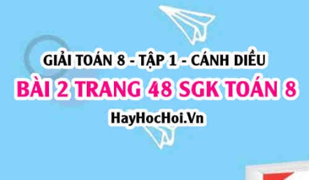 Giải bài 2 trang 48 Toán 8 Tập 1 SGK Cánh Diều